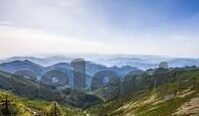 明星97水果机遥控器-明星97水果机遥控器，一场娱乐与科技的奇妙邂逅